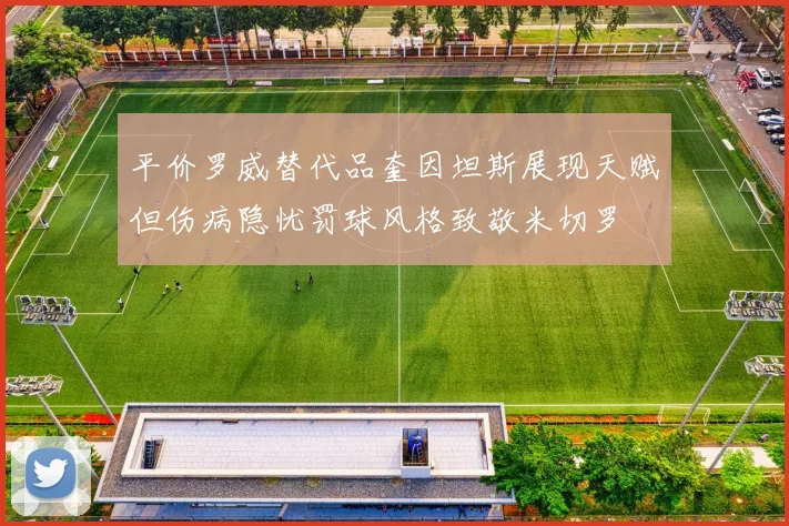 平价罗威替代品奎因坦斯展现天赋但伤病隐忧罚球风格致敬米切罗