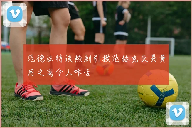 范德法特谈热刺引援范赫克交易费用之高令人咋舌