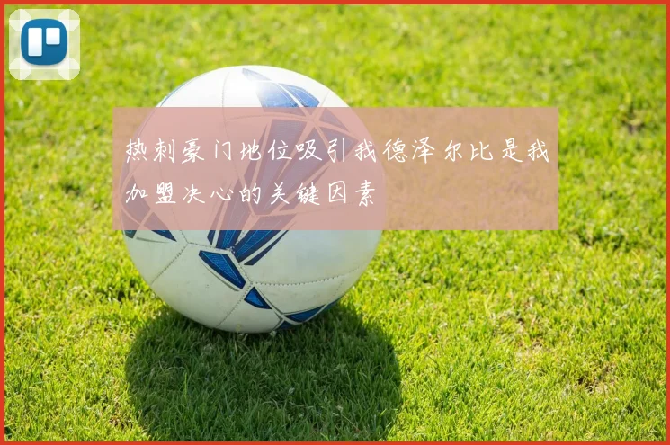热刺豪门地位吸引我德泽尔比是我加盟决心的关键因素