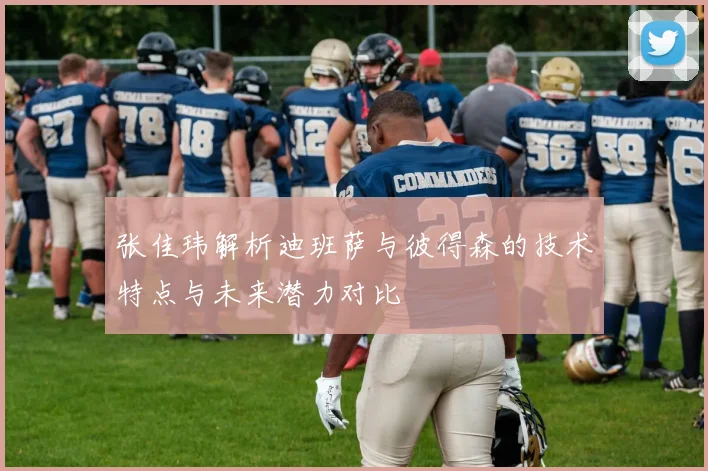 张佳玮解析迪班萨与彼得森的技术特点与未来潜力对比